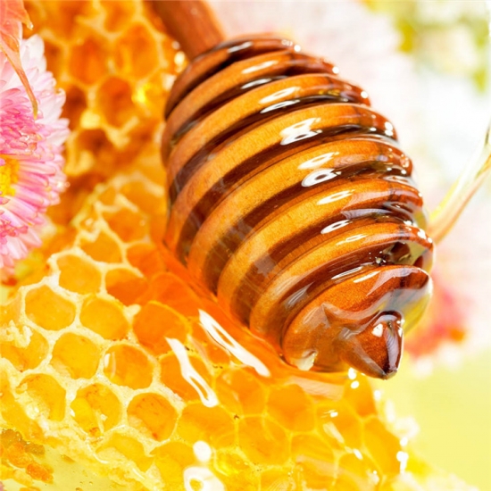 菜種ミツバチ蜂蜜oem 100％純粋な天然の 